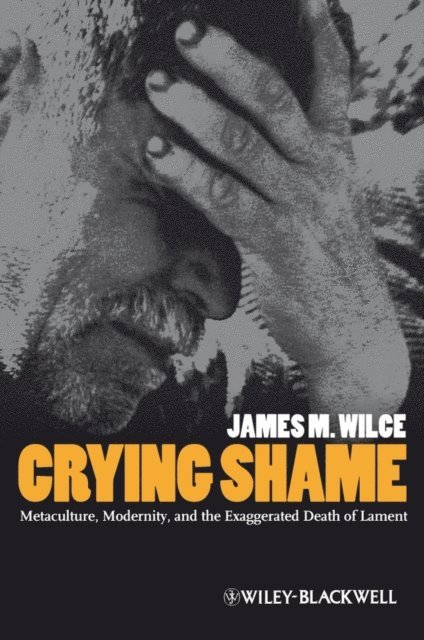 James M. Wilce - Crying Shame, E-bok