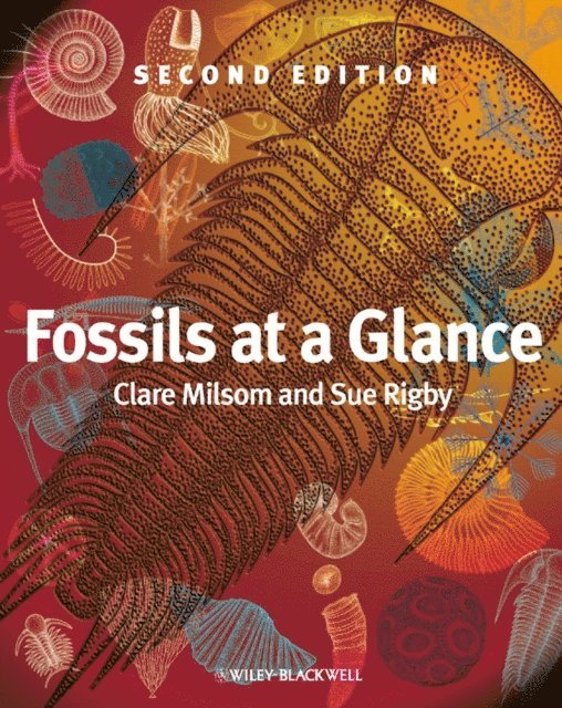 Sue Rigby, Clare Milsom - Fossils at a Glance, E-bok