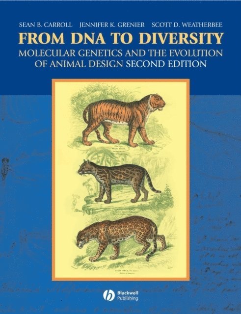 Scott D. Weatherbee, Jennifer K. Grenier, Sean B. Carroll - From DNA to Diversity, E-bok