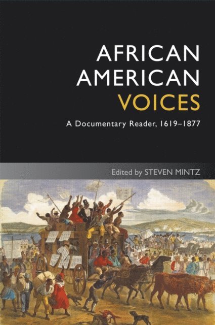 Steven Mintz - African American Voices, E-bok