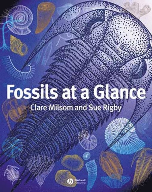 Sue Rigby, Clare Milsom - Fossils at a Glance, E-bok