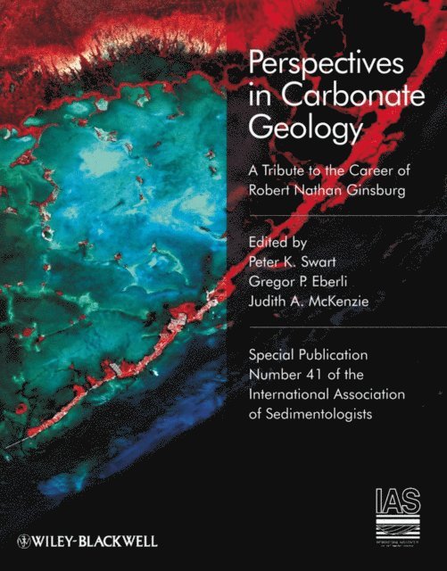 Judith A. McKenzie, Gregor P. Eberli, Peter K. Swart - Perspectives in Carbonate Geology, E-bok