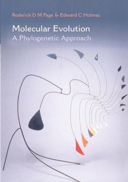 Edward C. Holmes, Roderick D. M. Page - Molecular Evolution, E-bok. Tillgänglighet: Lägg i varukorg