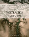 Wetlands Handbook, 2 Volume Set