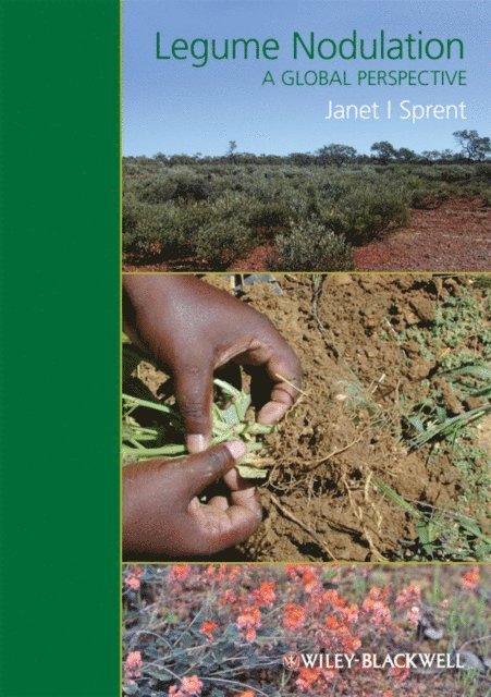 Janet I. Sprent - Legume Nodulation, E-bok