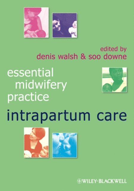 Soo Downe, Denis Walsh - Intrapartum Care, E-bok