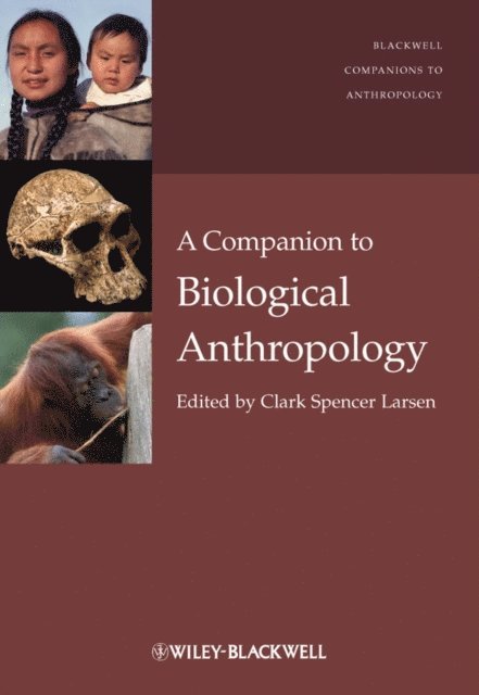 Clark Spencer Larsen - Companion to Biological Anthropology, E-bok