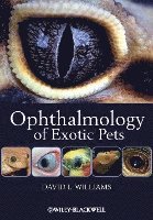 David L. Williams - Ophthalmology of Exotic Pets, Häftad. Tillgänglighet: Lägg i varukorg