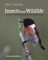 John Capinera - Insects and Wildlife, Inbunden. Tillgänglighet: Lägg i varukorg