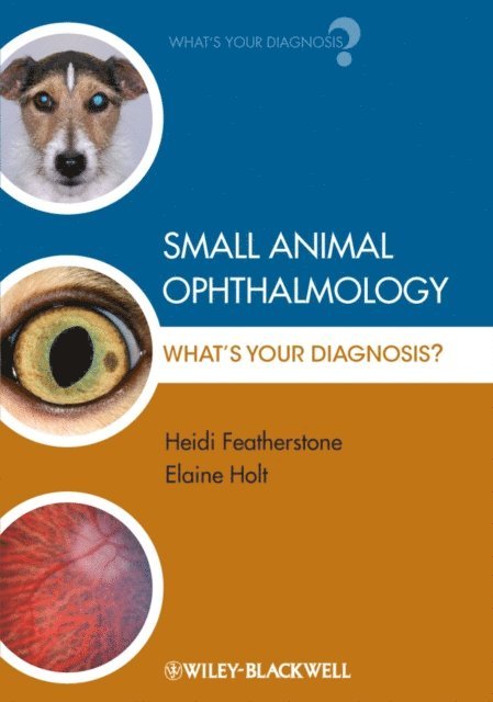 Elaine Holt, Heidi Featherstone - Small Animal Ophthalmology, E-bok