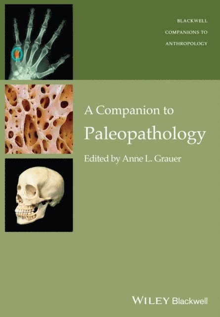 Anne L. Grauer - Companion to Paleopathology, E-bok