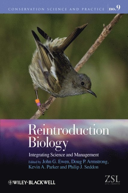 Philip J. Seddon, Kevin A. Parker, Doug P. Armstrong, John G. Ewen - Reintroduction Biology, E-bok