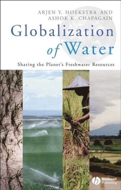 Ashok K. Chapagain, Arjen Y. Hoekstra - Globalization of Water, E-bok