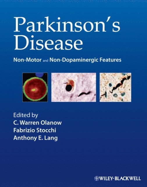 Anthony Lang, Fabrizio Stocchi, C. Warren Olanow - Parkinson's Disease, E-bok