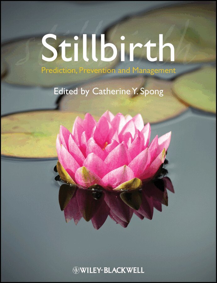 Catherine Y. Spong - Stillbirth. Tillgänglighet: Tillfälligt slut