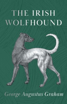 George Augustus Graham - Irish Wolfhound, Häftad. Tillgänglighet: Lägg i varukorg