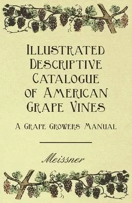 Meissner - Illustrated Descriptive Catalogue Of American Grape Vines - A Grape Growers Manual, Häftad. Tillgänglighet: Lägg i varukorg