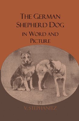 V. Stephanitz - German Shepherd Dog In Word And Picture, Häftad. Tillgänglighet: Lägg i varukorg