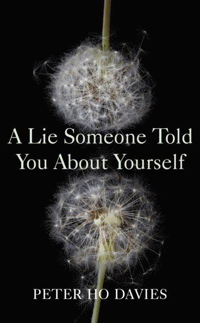 Peter Ho Davies - Lie Someone Told You About Yourself, E-bok