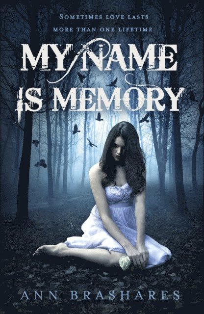 Ann Brashares - My Name Is Memory, E-bok