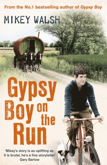 Mikey Walsh - Gypsy Boy on the Run, E-bok