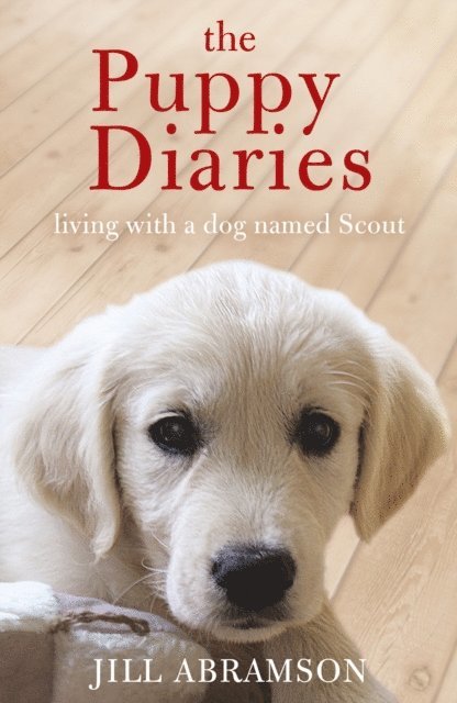 Jill Abramson - Puppy Diaries, E-bok