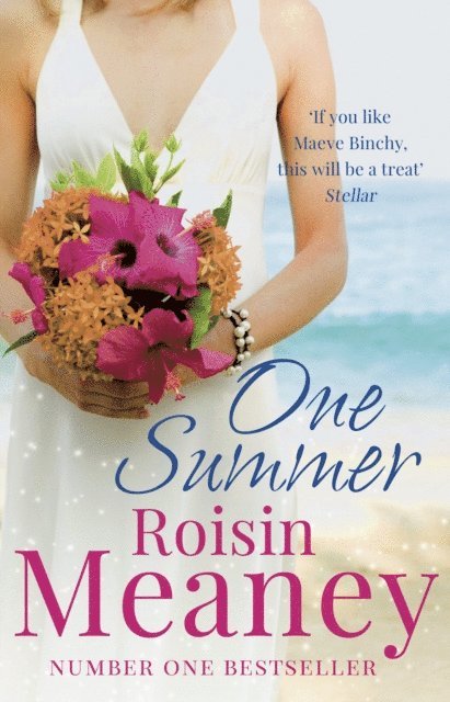 Roisin Meaney - One Summer, E-bok