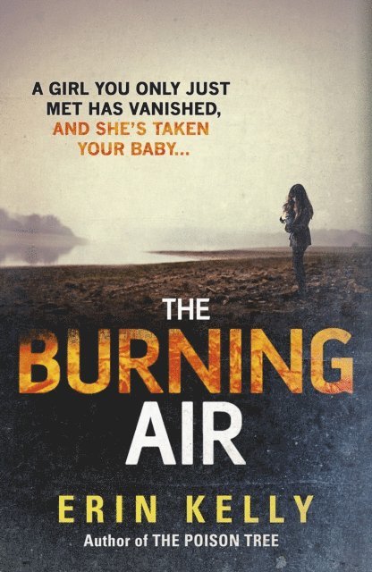 Erin Kelly - Burning Air, E-bok