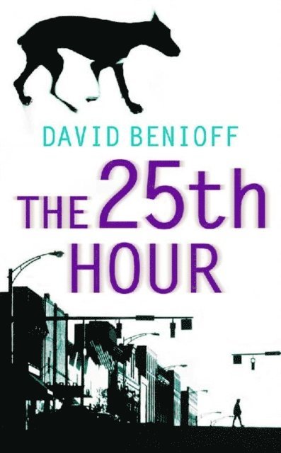 David Benioff - 25th Hour, E-bok