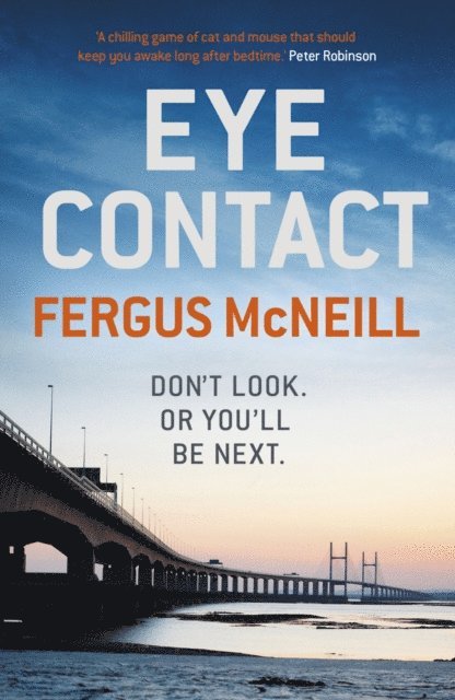 Fergus McNeill - Eye Contact, E-bok