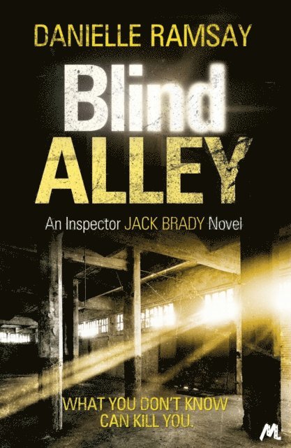 Danielle Ramsay - Blind Alley, E-bok