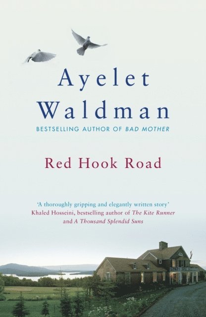 Ayelet Waldman - Red Hook Road, E-bok