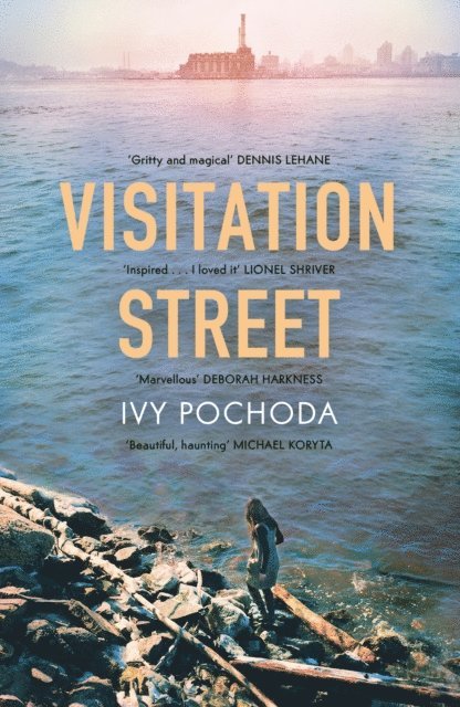 Ivy Pochoda - Visitation Street, E-bok