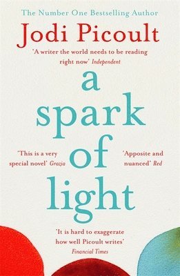 Jodi Picoult - Spark of Light, Häftad