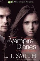 The Vampire Diaries: The Fury