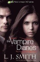 Vampire Diaries: The Fury