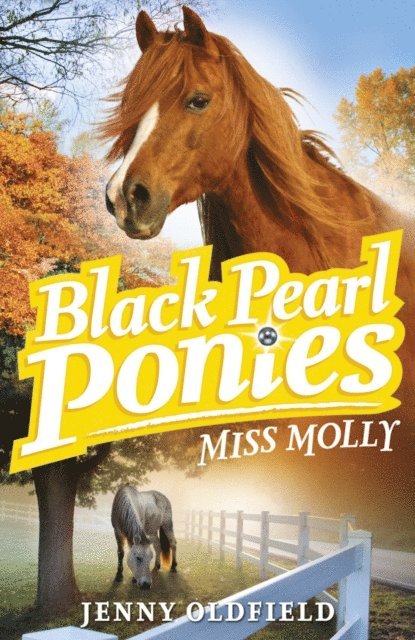 Jenny Oldfield - Miss Molly, E-bok