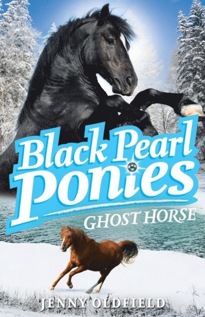 Jenny Oldfield - Ghost Horse, E-bok