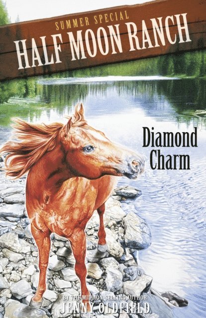 Jenny Oldfield - Summer Special: Diamond Charm, E-bok