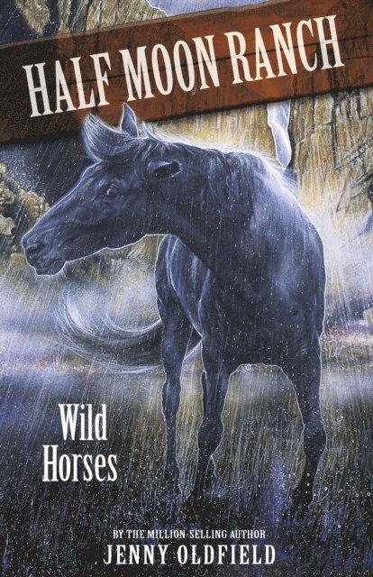 Jenny Oldfield - Wild Horses, E-bok