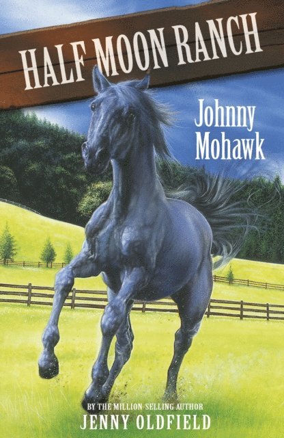 Jenny Oldfield - Johnny Mohawk, E-bok. Tillgänglighet: Lägg i varukorg