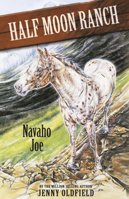 Jenny Oldfield - Navaho Joe, E-bok