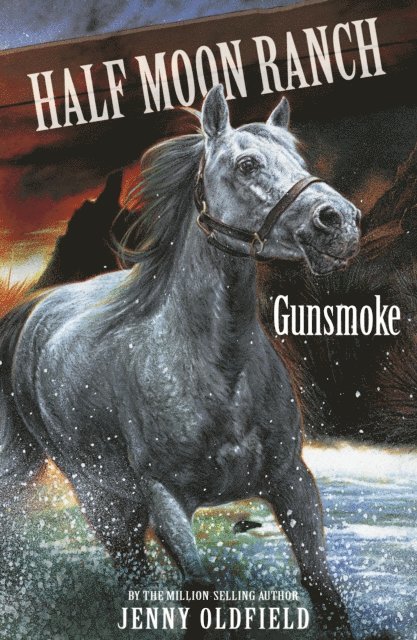 Jenny Oldfield - Gunsmoke, E-bok. Tillgänglighet: Lägg i varukorg