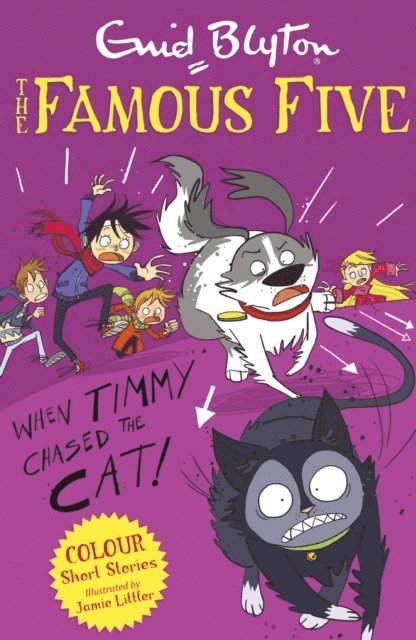 Enid Blyton - Famous Five Colour Short Stories: When Timmy Chased the Cat, E-bok