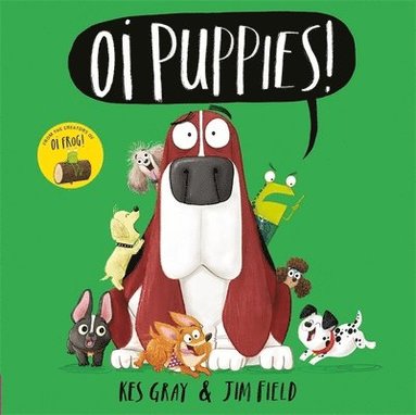 Oi Puppies! by Kes Gray