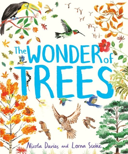Nicola Davies - Wonder of Trees, E-bok. Tillgänglighet: Lägg i varukorg
