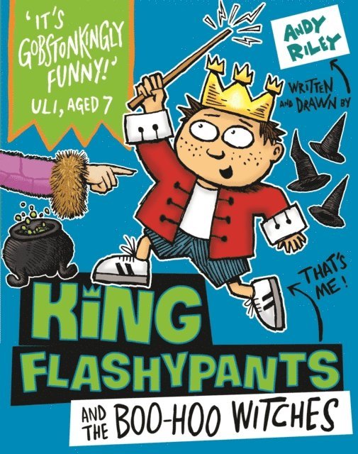 Andy Riley - King Flashypants and the Boo-Hoo Witches, E-bok