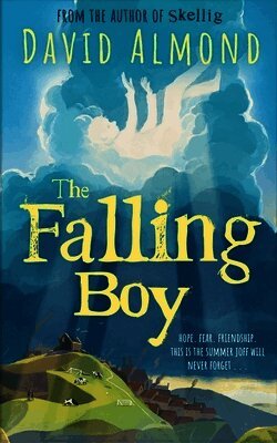 Falling Boy