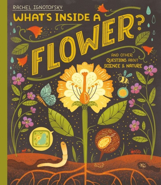 Rachel Ignotofsky - What's Inside a Flower?, E-bok