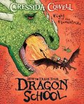 How To Train Your Dragon School: Fight of the Flamestrike